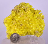 7.3cms SULPHUR CRYSTAL BOLIVIA MINERAL SPECIMEN YW6