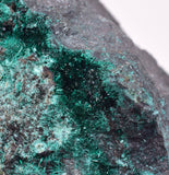 7.9cms GEM BROCHANTITE CHRYSOCOLLA CHILE MINERAL SPECIMEN ZB59