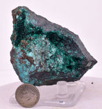7.9cms GEM BROCHANTITE CHRYSOCOLLA CHILE MINERAL SPECIMEN ZB59