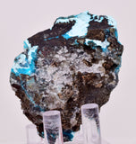 5.6cms DRUZY QUARTZ CHRYSOCOLLA DR CONGO MINERAL SPECIMEN DB130