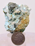 4.4cms GEM ATACAMITE INSIDE SELENITE CRYSTAL CHRYSOCOLLA LILY MINE PERU DB134
