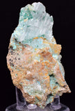 4.9cms GEM ATACAMITE INSIDE SELENITE CRYSTAL CHRYSOCOLLA LILY MINE PERU DB140