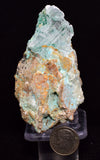 4.9cms GEM ATACAMITE INSIDE SELENITE CRYSTAL CHRYSOCOLLA LILY MINE PERU DB140
