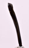5.5cms GOLDEN BLACK CORAL POLISHED PERU NATURAL JEWELRY PENDANT VB27