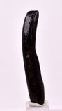 4.8cms GOLDEN BLACK CORAL POLISHED PERU NATURAL JEWELRY PENDANT VB28