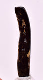 4.8cms GOLDEN BLACK CORAL POLISHED PERU NATURAL JEWELRY PENDANT VB28