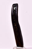 4.8cms GOLDEN BLACK CORAL POLISHED PERU NATURAL JEWELRY PENDANT VB28
