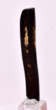 5cms GOLDEN BLACK CORAL POLISHED PERU NATURAL JEWELRY PENDANT VB31