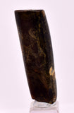 4.3cms GOLDEN BLACK CORAL POLISHED PERU NATURAL JEWELRY PENDANT VB32