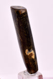 4.3cms GOLDEN BLACK CORAL POLISHED PERU NATURAL JEWELRY PENDANT VB32