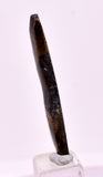 3.9cms GOLDEN BLACK CORAL POLISHED PERU NATURAL JEWELRY PENDANT VB33