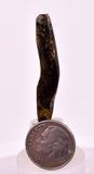 3.9cms GOLDEN BLACK CORAL POLISHED PERU NATURAL JEWELRY PENDANT VB33