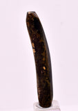 4.5cms GOLDEN BLACK CORAL POLISHED PERU NATURAL JEWELRY PENDANT VB34