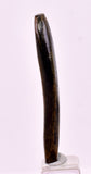 4.5cms GOLDEN BLACK CORAL POLISHED PERU NATURAL JEWELRY PENDANT VB34