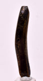 4.5cms GOLDEN BLACK CORAL POLISHED PERU NATURAL JEWELRY PENDANT VB34