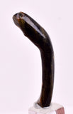 4.4cms GOLDEN BLACK CORAL POLISHED PERU NATURAL JEWELRY PENDANT VB35