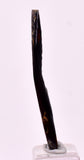 3.6cms GOLDEN BLACK CORAL POLISHED PERU NATURAL JEWELRY PENDANT VB37