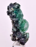 4.5cms GREEN FLUORITE PYRITE CRYSTALS PERU MILPO PERU KB150