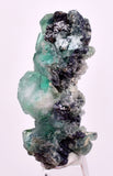 4.5cms GREEN FLUORITE PYRITE CRYSTALS PERU MILPO PERU KB150