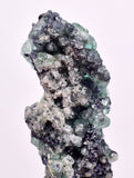 4.5cms GREEN FLUORITE PYRITE CRYSTALS PERU MILPO PERU KB150