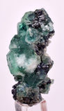 4.5cms GREEN FLUORITE PYRITE CRYSTALS PERU MILPO PERU KB150