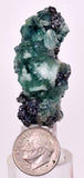 4.5cms GREEN FLUORITE PYRITE CRYSTALS PERU MILPO PERU KB150