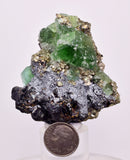5.9cms GREEN FLUORITE PYRITE CRYSTALS PERU MILPO PERU KB153