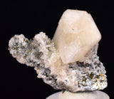4.6cms CALCITE TOOTH DOG WITH QUARTZ APATITE CRYSTALS PERU SHINY MINERAL GB76
