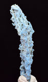 6.1cms BLUE CHALCEDONY MORDENITE STALACITE CRYSTALS INDIA TRANSLUCENT TB201