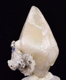 4.6cms CALCITE TOOTH DOG WITH QUARTZ APATITE CRYSTALS PERU SHINY MINERAL GB76