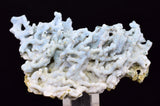 6.1cms BLUE CHALCEDONY MORDENITE STALACITE CRYSTALS INDIA TRANSLUCENT TB202