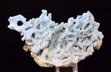 6.1cms BLUE CHALCEDONY MORDENITE STALACITE CRYSTALS INDIA TRANSLUCENT TB202