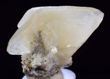 4.6cms CALCITE TOOTH DOG WITH QUARTZ APATITE CRYSTALS PERU SHINY MINERAL GB76