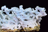6.1cms BLUE CHALCEDONY MORDENITE STALACITE CRYSTALS INDIA TRANSLUCENT TB202