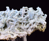 6.1cms BLUE CHALCEDONY MORDENITE STALACITE CRYSTALS INDIA TRANSLUCENT TB202