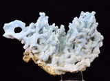 6.1cms BLUE CHALCEDONY MORDENITE STALACITE CRYSTALS INDIA TRANSLUCENT TB202