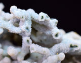 6.1cms BLUE CHALCEDONY MORDENITE STALACITE CRYSTALS INDIA TRANSLUCENT TB202