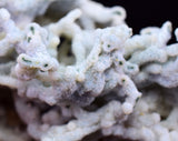 6.1cms BLUE CHALCEDONY MORDENITE STALACITE CRYSTALS INDIA TRANSLUCENT TB202