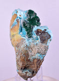 7.7cms DRUZY CHRYSOCOLLA PERU COPPER 2000 DISCOVERY DB141
