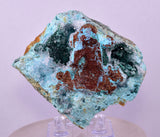 7.4cms GEM CLINOATACAMITE CRYSTAL MALACHITE LILY MINE 2000 DISCOVERY PERU AB295