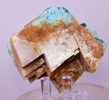 7.4cms GEM CLINOATACAMITE CRYSTAL MALACHITE LILY MINE 2000 DISCOVERY PERU AB295