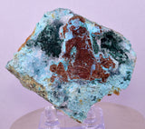 7.4cms GEM CLINOATACAMITE CRYSTAL MALACHITE LILY MINE 2000 DISCOVERY PERU AB295