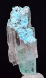 3cms GEM ATACAMITE CHRYSOCOLLA INSIDE SELENITE CRYSTAL LILY MINE PERU  TB212