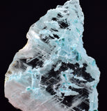 3.5cms GEM CHRYSOCOLLA INSIDE SELENITE CRYSTAL LILY MINE PERU  TB214