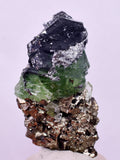4.5cms GREEN FLUORITE PYRITE CRYSTALS PERU MILPO PERU KB164