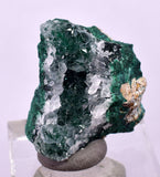 2cms DRUZY CHRYSOCOLLA PERU COPPER 2000 DISCOVERY MINERAL DB158
