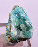 2.8cms DRUZY CHRYSOCOLLA PERU COPPER 2000 DISCOVERY MINERAL DB161
