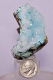 4.6cms DRUZY CHRYSOCOLLA PERU COPPER 2000 DISCOVERY MINERAL DB164