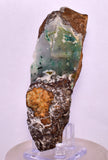 10.6cms ATACAMITE DRUZY CHRYSOCOLLA CHRYSTAL LILY MINE PERU MINERAL DB166