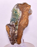10.6cms ATACAMITE DRUZY CHRYSOCOLLA CHRYSTAL LILY MINE PERU MINERAL DB166